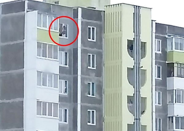 В Слуцке 12-летняя девочка мыла окно на 9-м этаже со стороны улицы - детей решили изъять из семьи В Слуцке 12-летняя девочка мыла окно на 9-м этаже со стороны улицы - детей решили изъять из семьи