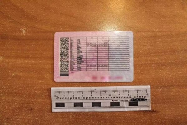 В России белорус показал ГИБДД поддельные «права» – вот как его наказали