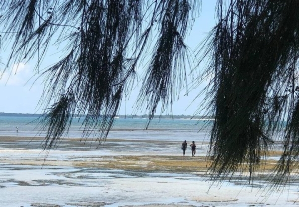 Успешная белоруска рассказала, почему уехала жить в Танзанию Успешная белоруска рассказала, почему уехала жить в Танзанию