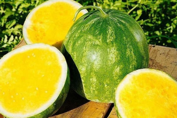 В Беларуси начали продавать желтые арбузы. Они вообще вкусные? А сколько стоят? В Беларуси начали продавать желтые арбузы. Они вообще вкусные? А сколько стоят?