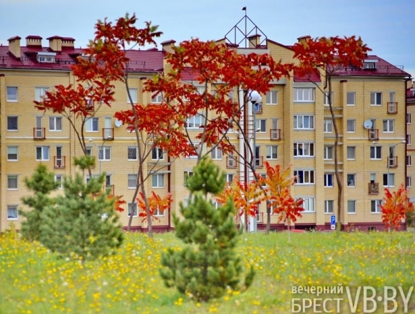 В Бресте парк 1000-летия залит осенними красками. Фоторепортаж