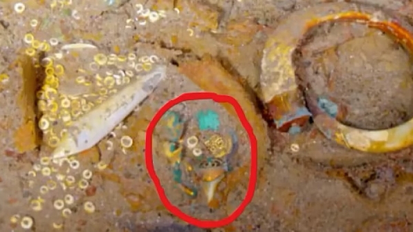 Ожерелье, которое никто не видел с момента крушения «Титаника» 15 апреля 1912 года, было найдено среди обломков судна на дне Атлантического океана Ожерелье, которое никто не видел с момента крушения «Титаника» 15 апреля 1912 года, было найдено среди обломков судна на дне Атлантического океана