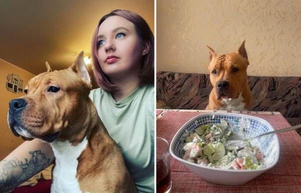 Сколько нужно денег молодой семье? Спросили у белорусов про их бюджеты после переезда от родителей