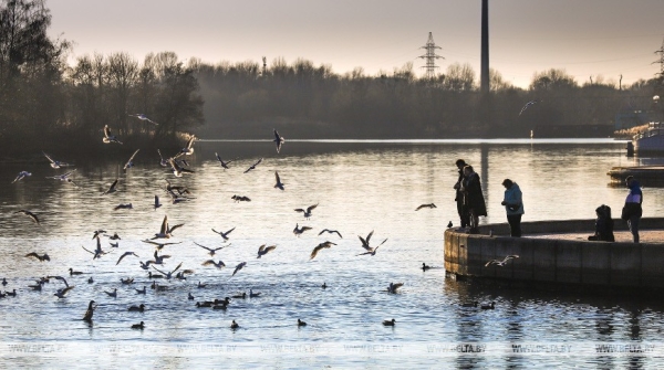 Весенний день в Бресте Весенний день в Бресте