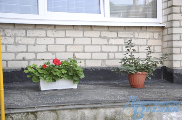 Красота для всех. Как жительница многоэтажки благоустроила свой двор Красота для всех. Как жительница многоэтажки благоустроила свой двор