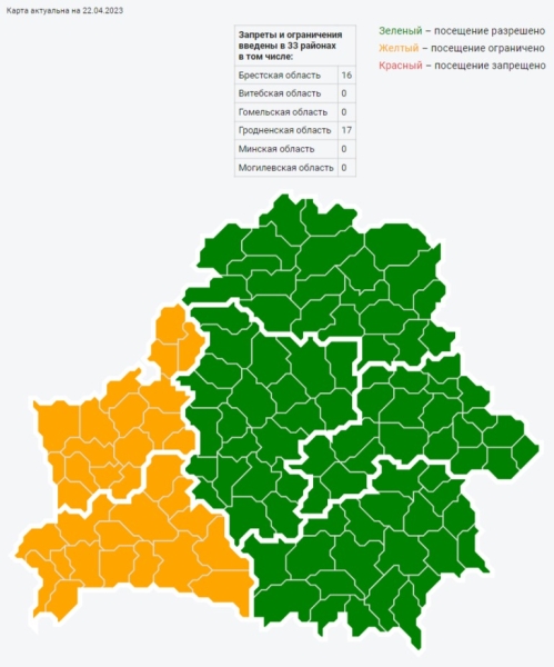 Ситуация с посещением лесов в Брестской области