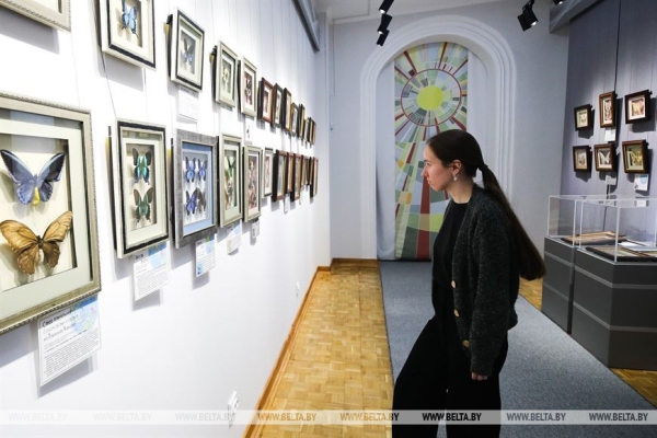 «Порхающие цветы». Выставку бабочек презентовали в Бресте «Порхающие цветы». Выставку бабочек презентовали в Бресте