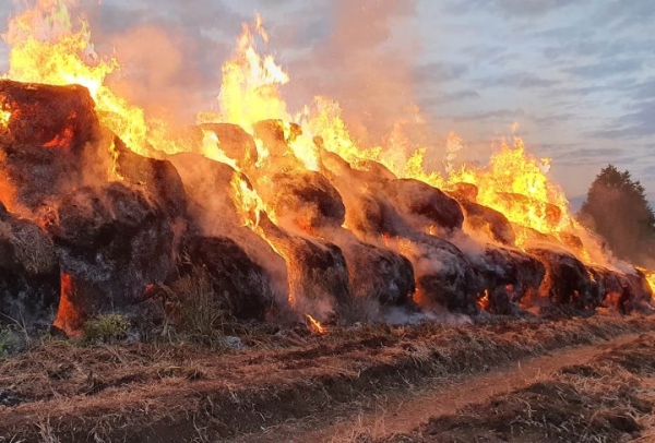 При пожаре на молочно-товарной ферме в Жабинковском районе сгорело 3 тонны соломы