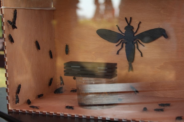 Дискотека, лазерное шоу, красочный фейерверк. Смотрите, как в Пинском районе прошел гастрономический и экологический фестиваль «Полесский вьюн» Дискотека, лазерное шоу, красочный фейерверк. Смотрите, как в Пинском районе прошел гастрономический и экологический фестиваль «Полесский вьюн»