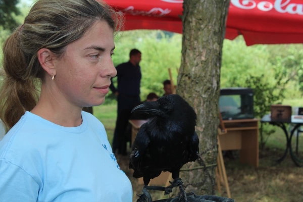 Дискотека, лазерное шоу, красочный фейерверк. Смотрите, как в Пинском районе прошел гастрономический и экологический фестиваль «Полесский вьюн» Дискотека, лазерное шоу, красочный фейерверк. Смотрите, как в Пинском районе прошел гастрономический и экологический фестиваль «Полесский вьюн»