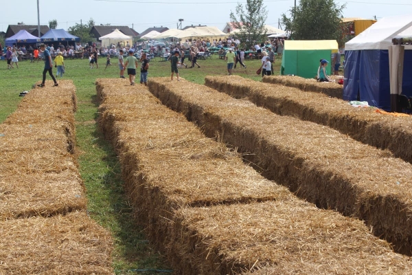 Дискотека, лазерное шоу, красочный фейерверк. Смотрите, как в Пинском районе прошел гастрономический и экологический фестиваль «Полесский вьюн» Дискотека, лазерное шоу, красочный фейерверк. Смотрите, как в Пинском районе прошел гастрономический и экологический фестиваль «Полесский вьюн»