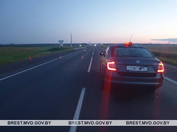 В Пинском районе ночью сбили женщину, которая выбежала на дорогу