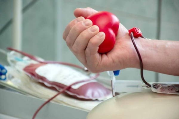 Аутодонорство. Кто может заготовить кровь для самого себя Аутодонорство. Кто может заготовить кровь для самого себя