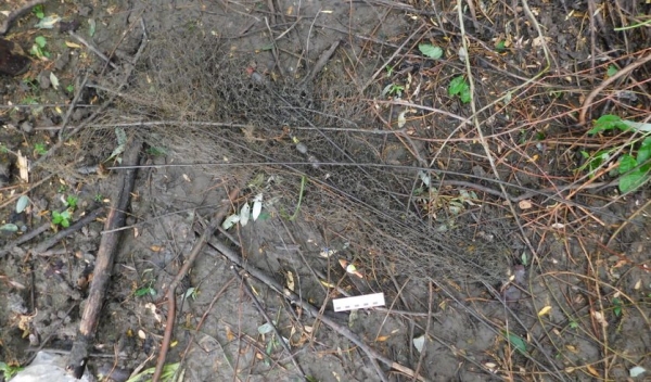 Трагедия на воде: в Столинском районе за прошедшую неделю утонули два рыбака Трагедия на воде: в Столинском районе за прошедшую неделю утонули два рыбака