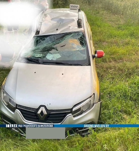 Таксист пытался объехать барсука и вылетел в кювет Таксист пытался объехать барсука и вылетел в кювет