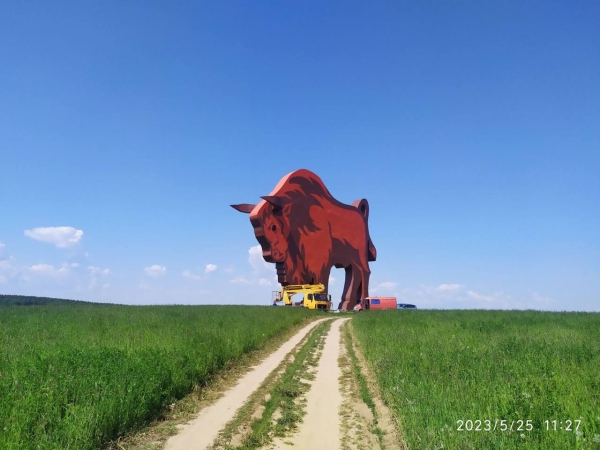 У огромного зубра на трассе М1 теперь светятся глаза. Опубликовано видео У огромного зубра на трассе М1 теперь светятся глаза. Опубликовано видео