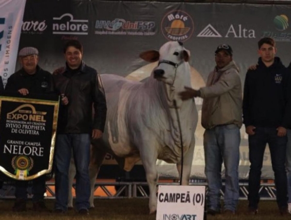 Эту красотку продали на аукционе за $4,3 миллиона. Рассказываем, почему такие деньги готовы платить за коров Эту красотку продали на аукционе за $4,3 миллиона. Рассказываем, почему такие деньги готовы платить за коров