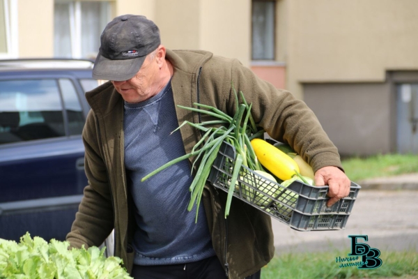 В Бресте прошёл рейд по местам несанкционированной торговли урожаем, выращенным на приусадебных участках В Бресте прошёл рейд по местам несанкционированной торговли урожаем, выращенным на приусадебных участках