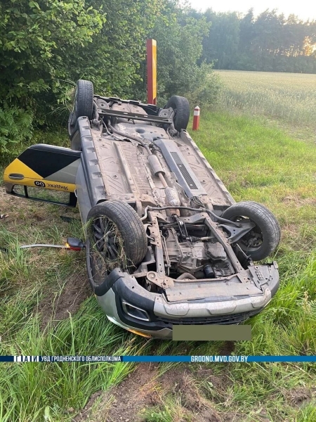 Таксист пытался объехать барсука и вылетел в кювет Таксист пытался объехать барсука и вылетел в кювет