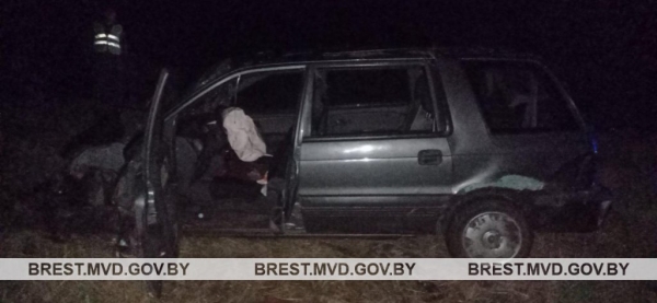 В Брестской области пьяный водитель врезался в гужевую повозку В Брестской области пьяный водитель врезался в гужевую повозку