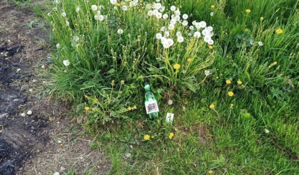 Версия о пале травы не подтвердилась. Следователи установили, что пенсионерку поджог сожитель Версия о пале травы не подтвердилась. Следователи установили, что пенсионерку поджог сожитель