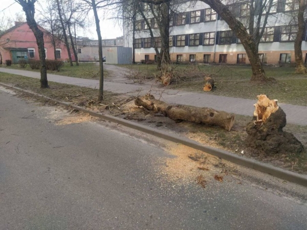 Не только утеплитель. Какие еще проблемы создал ветер в Бресте Не только утеплитель. Какие еще проблемы создал ветер в Бресте