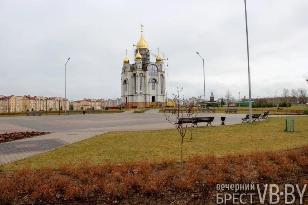 Парк тысячелетия Бреста прирос липами Парк тысячелетия Бреста прирос липами