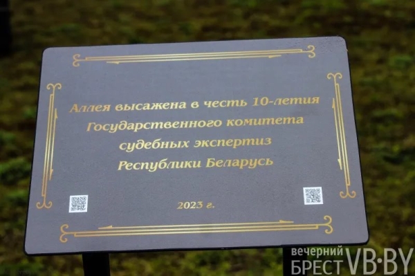 Парк тысячелетия Бреста прирос липами Парк тысячелетия Бреста прирос липами