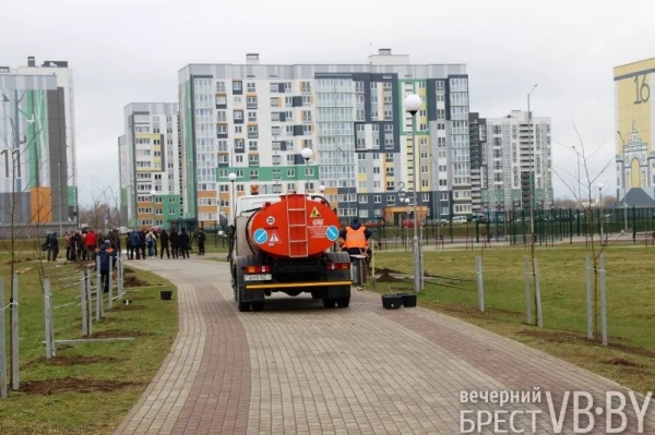 Парк тысячелетия Бреста прирос липами Парк тысячелетия Бреста прирос липами