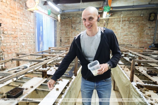 Устроить гонки и попробовать деликатесы предлагают туристам на улиточной ферме в Брестском районе Устроить гонки и попробовать деликатесы предлагают туристам на улиточной ферме в Брестском районе