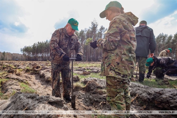 Более 15 тыс. жителей Брестской области поддержали акцию «Неделя леса» Более 15 тыс. жителей Брестской области поддержали акцию «Неделя леса»