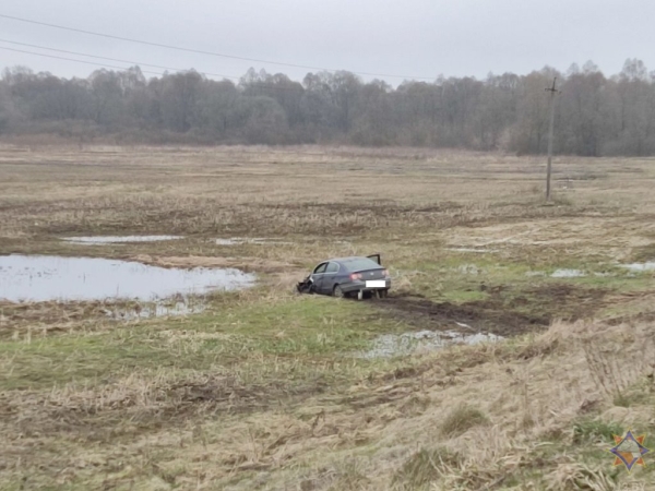 Жителя Столина заключили под стражу за пьяное ДТП с тяжелыми последствиями Жителя Столина заключили под стражу за пьяное ДТП с тяжелыми последствиями