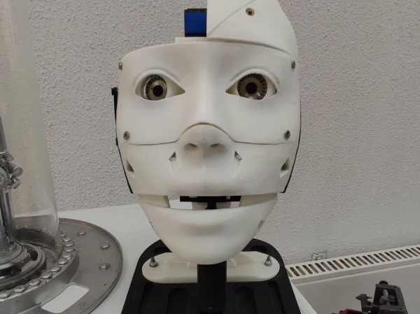 Роботы поселились в Бресте Роботы поселились в Бресте