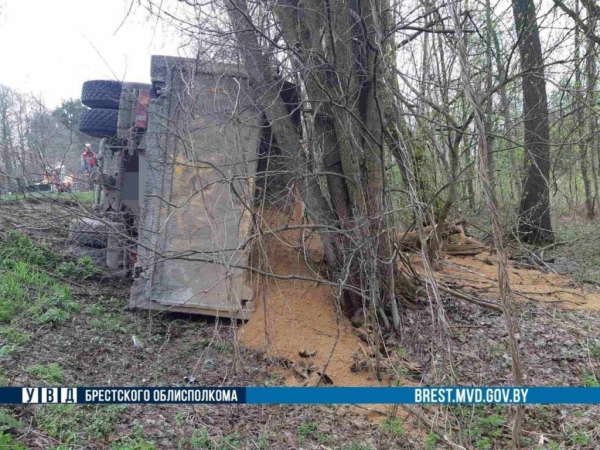 В Жабинковском районе из-за мягкой обочины опрокинулся грузовик В Жабинковском районе из-за мягкой обочины опрокинулся грузовик